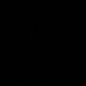 Meet your Posher, Jila